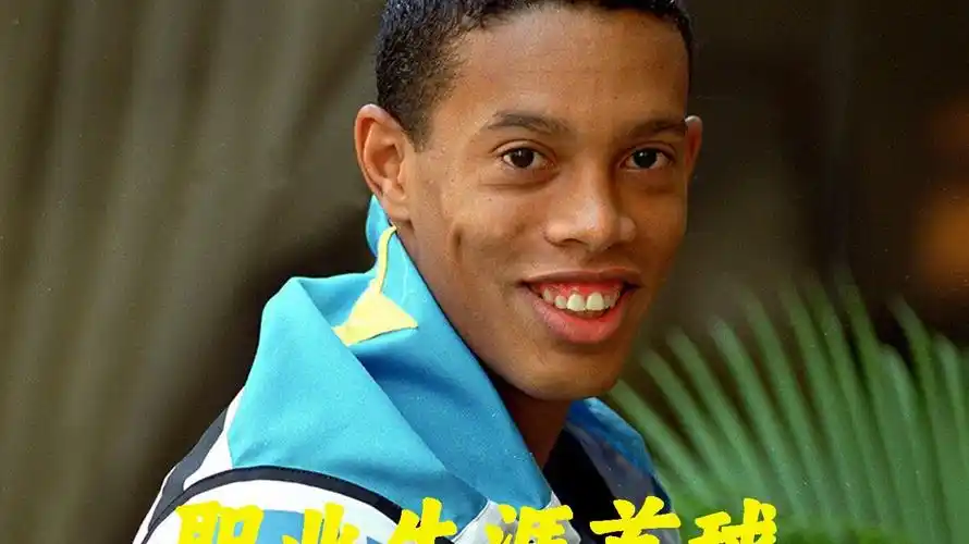 专家的建议