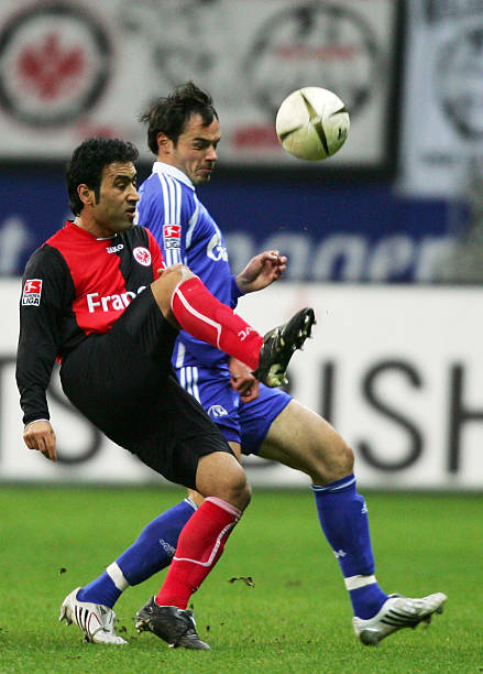 而他所透露 而他所透露